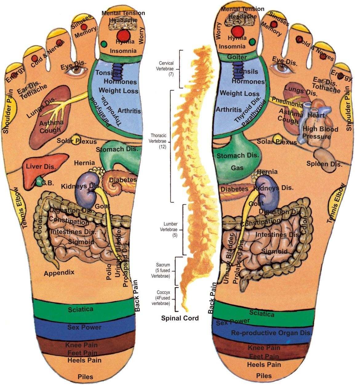 https://mail.amritamasaj.ro/Cum e cu reflexoterapia sau masajul picioarelor în talpi?